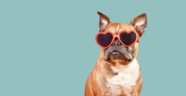 Meine Favoriten | &bdquo;Dolomiten"-Markt Online