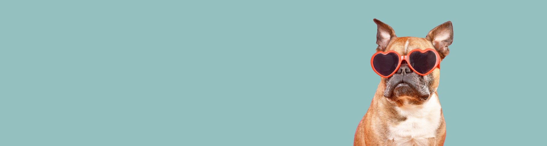 Meine Favoriten | &bdquo;Dolomiten"-Markt Online