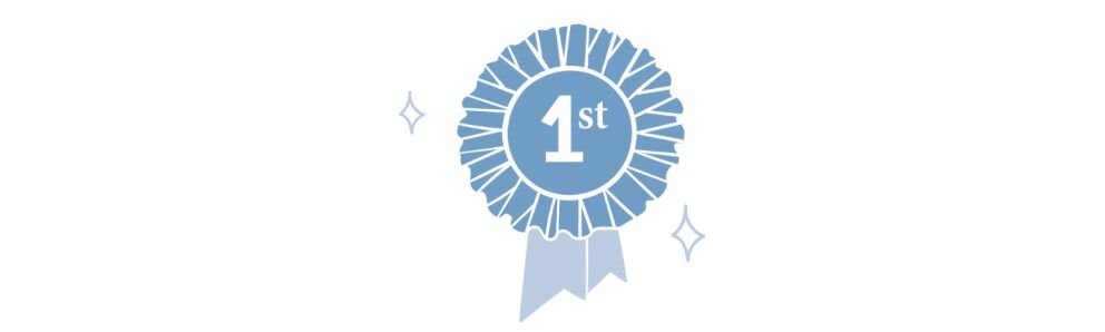 Medaille für die Lehre | „Dolomiten“-Markt Online