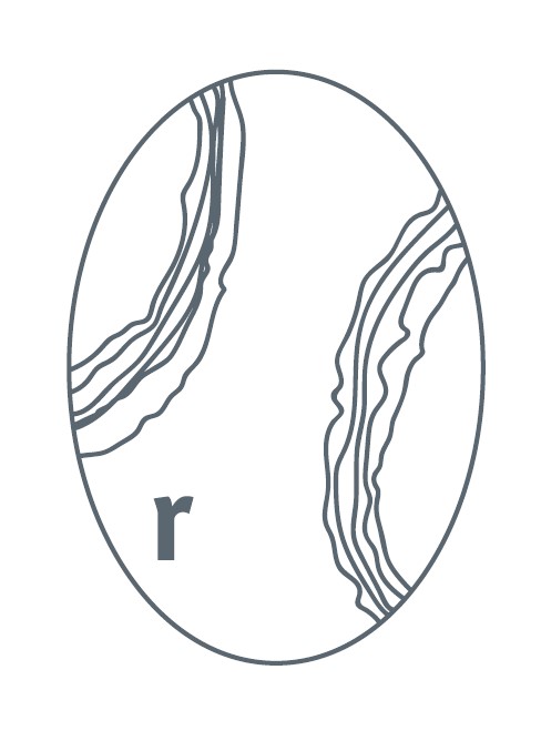 Logo GASTHOF STEINEGGER