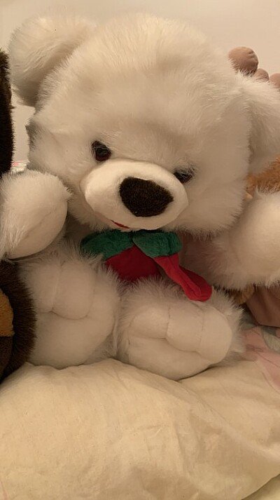 Teddy Bär neu